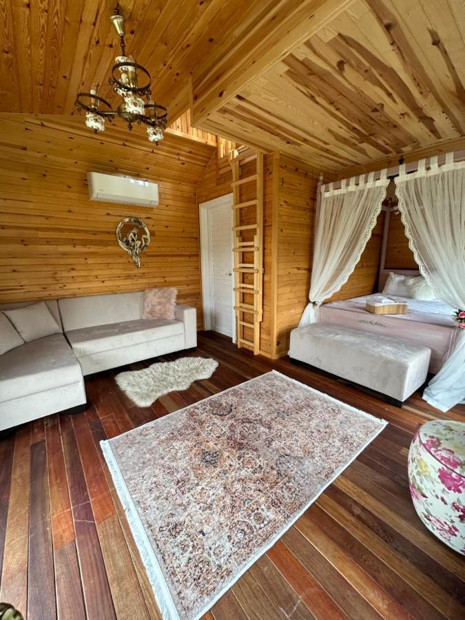 Seyyah Cafe Bungalows Aliaga 外观 照片