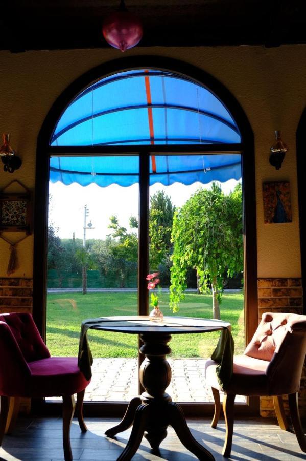 Seyyah Cafe Bungalows Aliaga 外观 照片